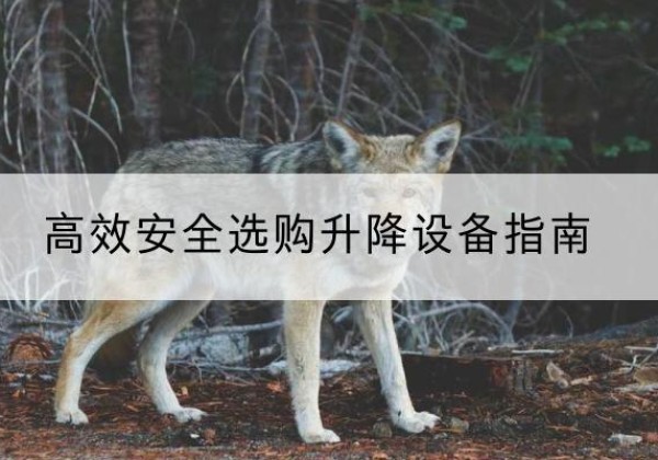 望江升降货梯厂家推荐-*安全选购升降设备指南