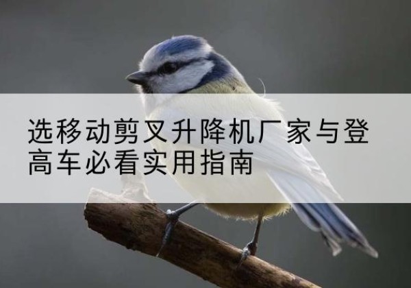 望江电动升降机厂家-选移动剪叉升降机厂家与登高车必看实用指南